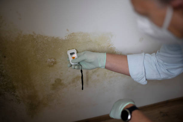 Mold Remediation for Rental Properties in Galveston, TX